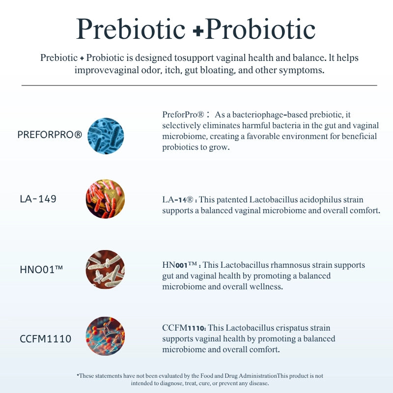 Nulsee Women’s Daily Pre + Probiotic — Everyday Microbiome Support Formula